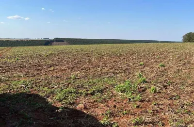 Fazenda 95 alqueires, 60 alqueires em plantio, dupla aptidão, solo misto a vermelho, topografia plana, rica em água com açudes e corregos, galpão