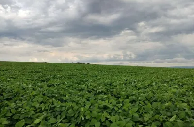 Fazenda 303 alqueires, 182 alqueires em cana, 10 alqueires em soja, topografia plana e levemente ondulada, terra vermelha, benfeitorias