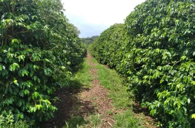 Fazenda 206 hectares, 110 mil pés de café, barracão, 2 secadores, maquina de limpar, casa sede, curral, estábulo, casa caseiro, ótima localização