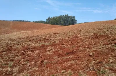Sítio 32 alqueires, 26,6 alqueires limpos, 18 alqueires arrendado em tomate e cereais, terra vermelha, rico em água com 4 açudes e 6 nascentes, 2 casa