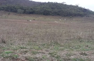 Fazenda 190 alqueires, rica em água com 9 nascentes, 100 alqueires em pasto, 70 alqueires em milho ou soja, casa sede e caseiro, curral