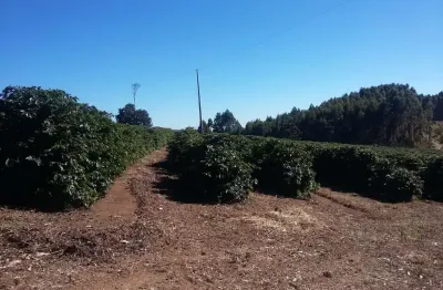 Fazenda tripla aptidão com 680 hectares, 250 mil pés de café, 300 mil pés de eucalipto, pasto, barracão, casa sede, rica em água, toda estruturada