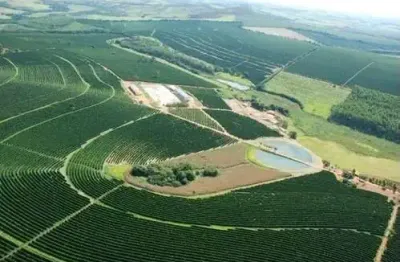 Fazenda 530 hectares, 268 hectares em lavoura de café, 16 hectares em eucalipto, rico em água com rio, casas sede e caseiro, oficina, escritório