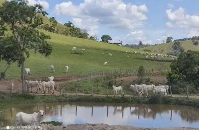 Fazenda 250 hectares, rica em água com 15 nascentes, 12 divisões de pasto, 50 hectares agricultáveis, currais, casas caseiro, casa sede 220m2