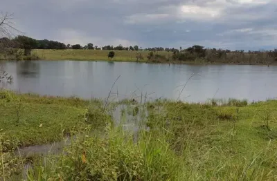 Fazenda 1134 hectares, rico em água com lago e rio, 901 hectares para plantio de soja, 291 hectares para irrigação, ótima localização,sem benfeitorias