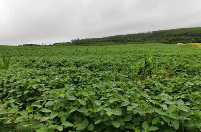 Chácara excelente sítio a venda em pilar do sul-sp ??   - área total 4 alqueires   - 3,5 alqueires em plantio  - topografia semi plana e levemente o