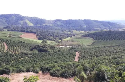 Fazenda 104 alqueires, 28 alqueires em café, 3 alqueires em eucalipto, 50 alqueires em pastagem, ótima infraestrutura, ótima localização