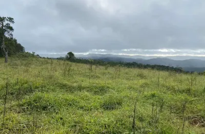 Fazenda 78 alqueires, rico em água, planta-se 40 alqueires, atualmente esta em pasto, ótima localização
