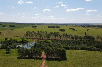 Área 55 mil m2, ideal para condomínio logístico ou industrias, rico em água com lago, casa sede simples, fácil acesso, beira do asfalto