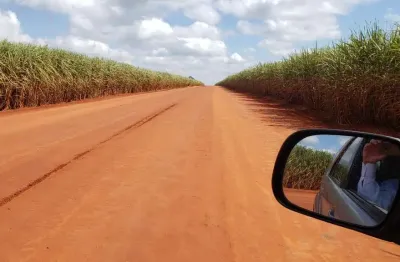 Fazenda 156 alqueires, 124 alqueires em cana, terra boa e plana, benfeitorias simples, beira de asfalto, ótima localização