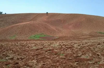 Sítio 32 alqueires 26 alqueires tratorável e agricultavel restante reserva e app 18 alqueires arrendado para tomate e cereais, ótima renda, terra verm