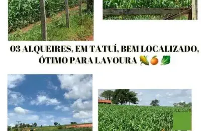 Chácara 3 alqueires, ótimo para lavoura, estrada boa, ótima localização, casa sede