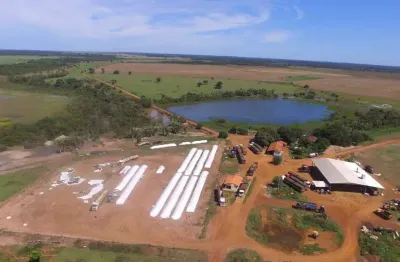 Fazenda 1367 alqueires, 2500 hectares, 2736 hectares, rico em água, curral, barracão, casa sede, alojamentos, dupla aptidão, ótima localização