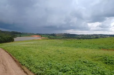 Fazenda 73 alqueires em ótima localização e topografia, com casa de caseiro, rico em água, duas represas, riacho, luz, ótimo para plantio de oliveira