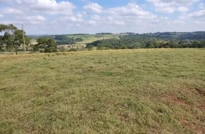 Fazenda 42 alqueires, formada em pasto, terra vermelha e mista, montada na pecuária, rica em água com 4 açudes, casa simples, galpão, mangueira