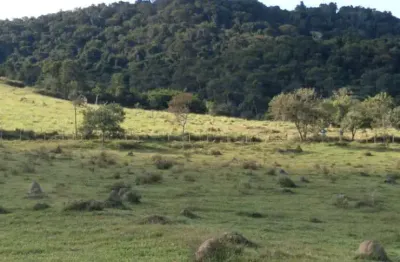 Fazenda 125 alqueires, rica em água com varias nascentes, represa e rio, casa sede, 2 casas caseiro, curral, rancho, ótima localização