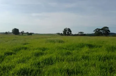 Sítio 16,5 alqueires, rico em água com corrego, 13 alqueires em área para plantio, boa topografia, solo misto, casa simples,balança,cocheiro,mangueira