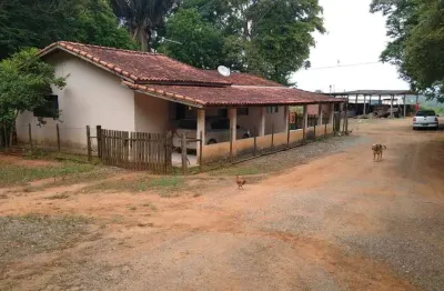Chácara 4,85 alqueires, rica em água, planta 3,5 alqueires, topografia plana, terra vermelha e mista, 4 estufas, casa sede, barracão,ótima localização