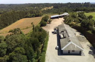 Frigorifico completo 700m2, capacidade de 300 toneladas por mês,cameras frias, reservatórios de água, escritórios, 1 casa 260m2 com piscina, 4 canis,