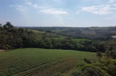 Sítio 8 alqueires, rica em água com lagos, nascentes e ribeirão, 6 alqueires para agricultura, casa sede, casa de caseiro, curral, área de lazer