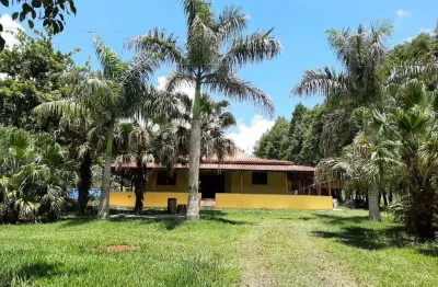 Sítio 6,5 alqueires, rica em água com 3 lagos, 2 casas boas, casa de caseiro, área de lazer com churrasqueira, galpão, pomar e horta, pasto amplo