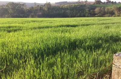 Fazenda 46 alqueires, rica em água com rio, 22 alqueires em plantio, 10 alqueires em eucalipto, aproveitamento de 70%, casa sede e casa de caseiro