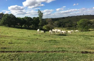 Granja 2 alqueires, casa sede, 2 galpões, comporta 12 mil frangos, totalmente automatizada, poço artesiano