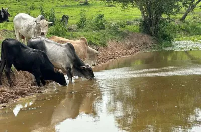 Sitio porangaba  22 alqueires   - formada em pasto  - topografia plana a ondulada  - atualmente na pecuária  - boa em água: nascente, açudes e córrego