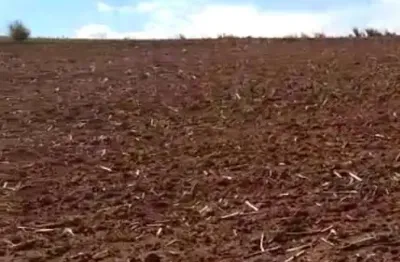 Fazenda 42 alqueires, bom de água, planta 35 alqueires, topografia plana, solo de terra mista roxa