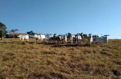 Sítio 14,21 alqueires, casa sede com 196m2, 3 dormitórios, 2 banheiros, pomar, divisa com rio, poço caipira, 400 arvores de eucalipto,