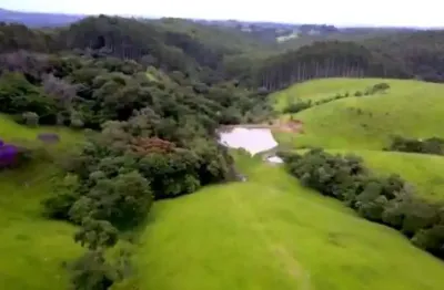 Sítio 8,5alqueires, represa, casa sede, espaço gourmet, barracão, casa caseiro, plantação de milho, mangueira, horta,