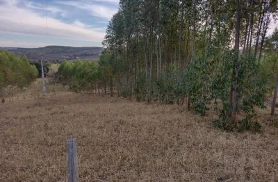 Sitio 5 alqueires tem 3 alqueires em eucalipto, 13 km do centro da cidade de angatuba sp, não tem casa, pequena água corrente no fundo do sítio