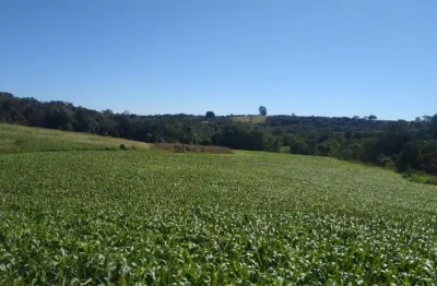 Sítios 6 alqueires, sem casa, só terra, rico em água, 25 km de itapetininga