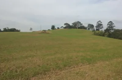 Sítio 9 alqueires planta 7 alqueires(sem casa,só terra),terra mista,fácil acesso