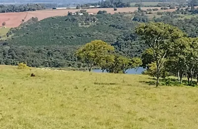 Fazenda com 42 alqueires, agua, não tem casa, localização nobre, em frente ao asfalto, sitio para criação de gado corte