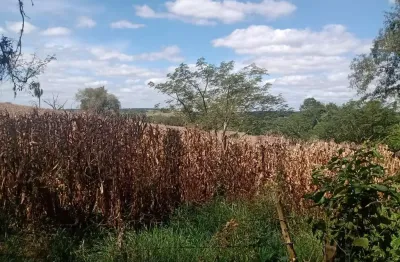 Oportunidade única: sitio à venda em angatuba-sp, zona rural, 1 quarto, 1 banheiro, 205.700,00 m² de área.