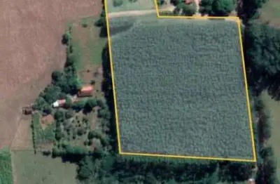 Chacara 1,1/2 alqueires plano( sem casa),c/agua nascente e corrego no fundo,2 1/2 do asfalto,plantado eucalipto brotos ainda