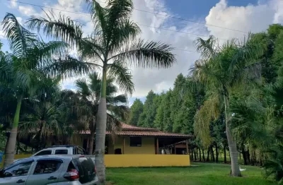 Sítio 6,5 alqueires terra mista,boa p/criação de gado, casa sede 150m2 avarandada 3 dorms,sala,cozinha,2 banheiros,casa de caseiro,