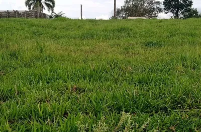 Sítio 5,7 alqueires frente asfalto,localização top,terra fertil,muito boa,ótimo para plantação,gado,granjas