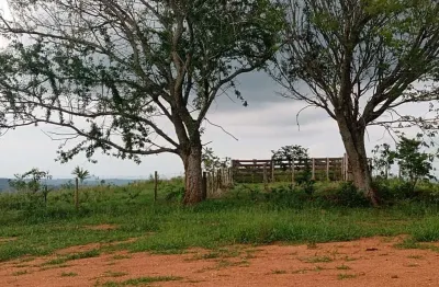 Sítio com 12 alqueires ótimo para criação de gado... 7 km d asfalto, 28 km d angatuba,  não tem casa, localização muito boa... (leve ondulado)