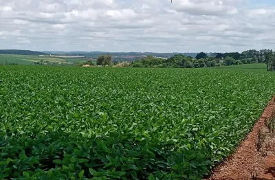 Sítio 13 alqueires,2 kms do asfalto, frente raposo tavares,ótima localização para fazer barracão de  granjas,  plantio de gramas, leiteria,  criação d