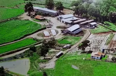 Fazenda pilar do sul 55 alqueires,6 tratores,2 vagões grandes,plantadeira 4 linhas,5 casas,2 redes trifasico