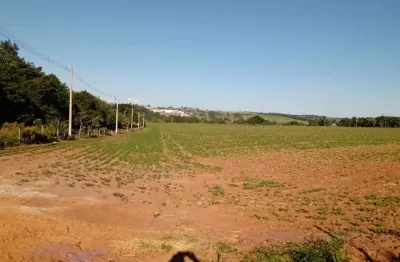 Sitio 8,5 alqueires casa sede,casa caseiro,galpão,rico em agua,1500mts do asfalto