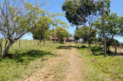 Sítio 6 alqueires em angatuba sp, oportunidade... com 2 casas sede e caseiro... sede 4 quartos 3 wc, cozinha sala copa lavanderia garagem para até 3 veículos, barracão de trato e leiteira  com picadei