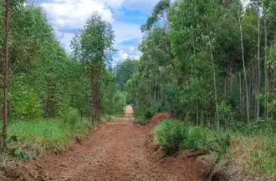 Excelente fazenda com eucalipto a venda em prata?nia-sp ??   a?rea total de 70 alqueires   58 alqueires em eucalipto  2° ciclo (na?o foi feito o des