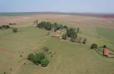 Excelente fazenda em cana a venda na região de presidente prudente - sp ??   área total: 393 alqueires   em cana: 328 alqueires   empresa: usina atv