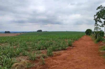 Excelente fazenda a venda em itapetininga-sp ?? ?   área total: 42 alqueires  em cana: 37 alqueires    restante: reserva e app   topografia: plana a levemente ondulada   solo: vermelho e misto   hidro