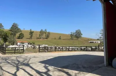 Excelente fazenda a venda no vale do paraíba no estado de são paulo-sp ??    área total: 330 alqueires ou 800 hectares   90% formada e tratoravel   agricultura: plantação de milho, capim braquiárião, 