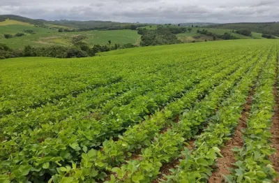 *excelente sítio a venda na região de sorocaba-sp* ??   área total: 20 alqueires   agricultura: 14,5 alqueires   restante: app, reserva e água   solo: misto  topografia: levemente ondulada com declive