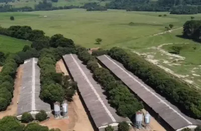*excelente sítio com granja a venda em tatuí - sp* ??   aptidão: granja de frango e gado de corte   área total: 16,52 hectares ou 6,82 alqueires   aproveitamento: 90%   3 aviáriosde 12x135 em funciona